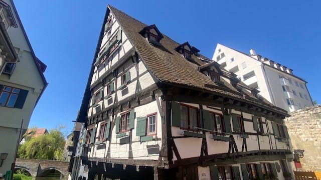 Ulm 3